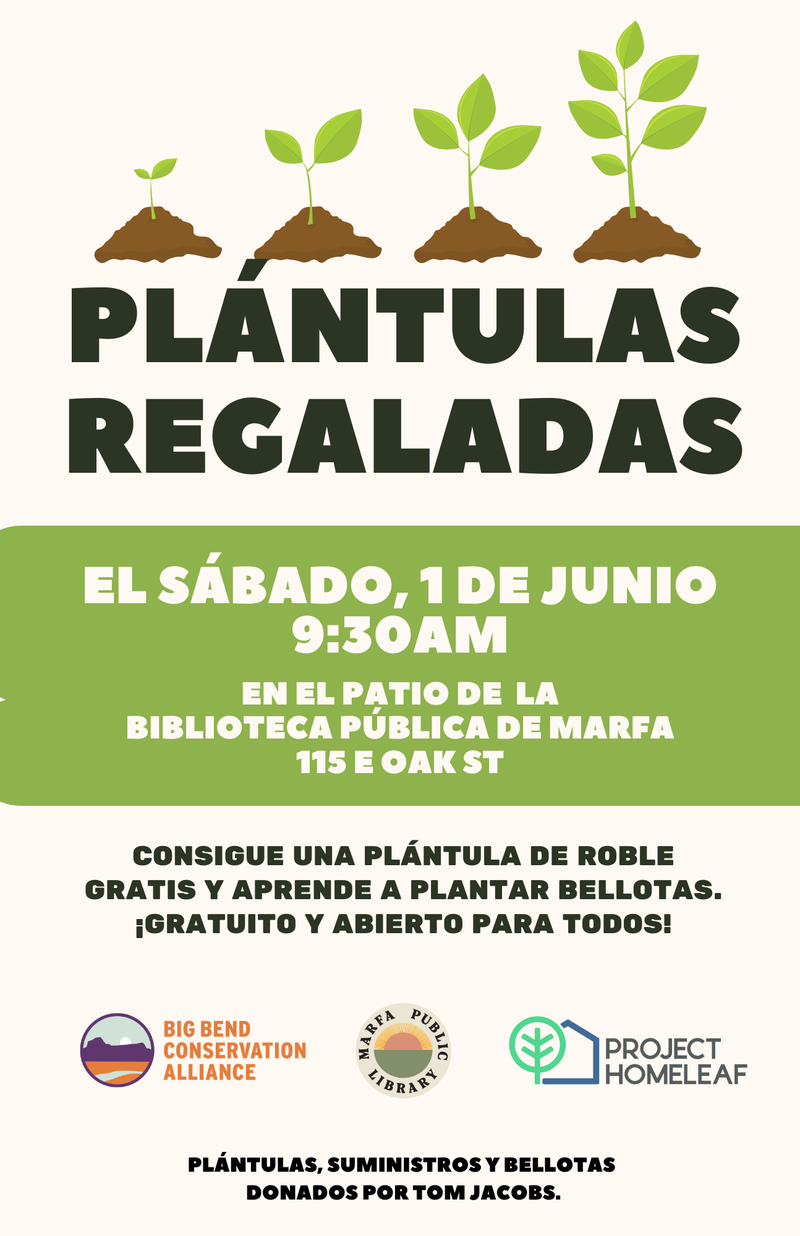 seed giveaway poster SP.png