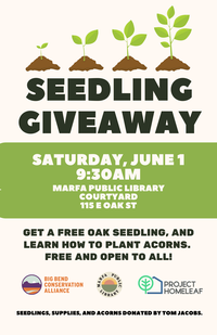 seed giveaway poster.png